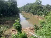Kesaksian Warga Lihat Biawak Berjajar ke Arah Mayat Tanpa Kepala di Ciliwung