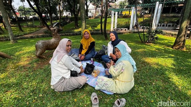 3 taman di Jakarta Selatan akan digabung. (Ondang/detikcom)