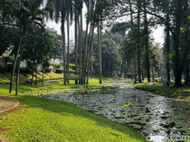 Melihat Taman Ayodya, Langsat, dan Leuser yang Akan Digabung Jadi 1 Kawasan