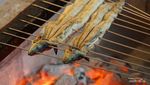 Mengenal Unagi khas Jepang dan Keunikannya