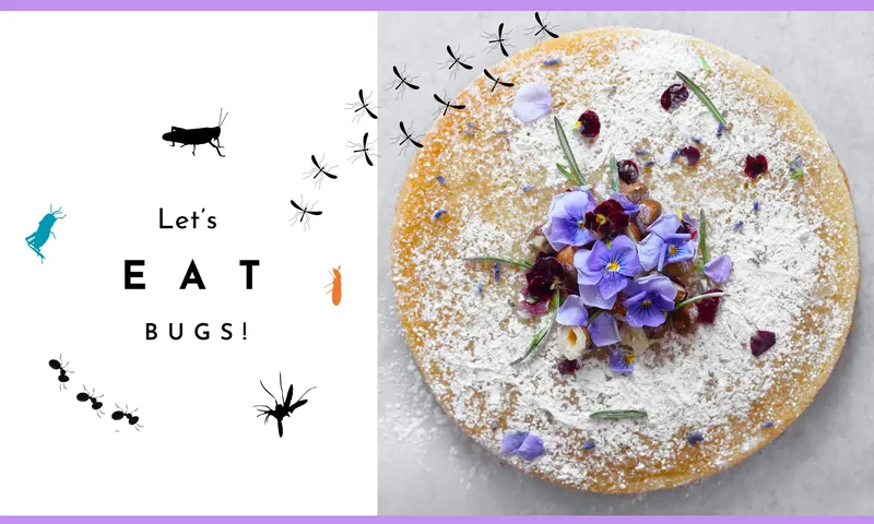 Unik Banget! Wanita Ini Buka Kafe dengan Menu Kue Serba Serangga