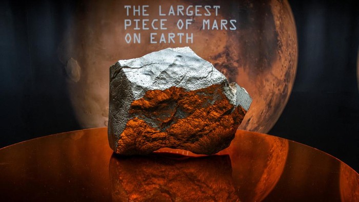 Batu Luar Angkasa dari Mars Mau Dilelang, Harga Ditaksir Capai Rp60 Miliar A handler organizes meteorite NWA 16788, the largest known piece of Mars on Earth, during the press preview of Sotheby’s Natural History auction in New York City, U.S., July 8, 2025. REUTERS/Eduardo Munoz