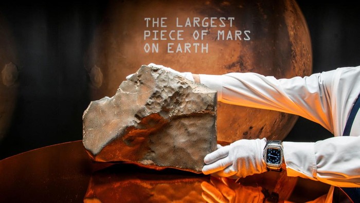 Batu Luar Angkasa dari Mars Mau Dilelang, Harga Ditaksir Capai Rp60 Miliar A handler organizes meteorite NWA 16788, the largest known piece of Mars on Earth, during the press preview of Sotheby’s Natural History auction in New York City, U.S., July 8, 2025. REUTERS/Eduardo Munoz