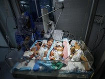 Bayi-bayi di Palestina Berbagi Inkubator Akibat Perang dan Krisis Bahan Bakar