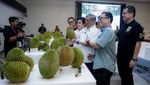 Juara Enaknya! Durian Musang King Posisi 1 World Durian Championship