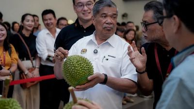 Juara Enaknya! Durian Musang King Posisi 1 World Durian Championship
