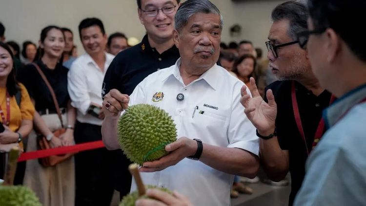 Juara Enaknya! Durian Musang King Posisi 1 World Durian Championship
