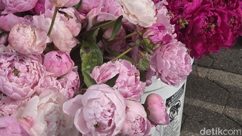 Akurasi warna yang dihasilkan kamera Galaxy Z Fold7 memuaskan. Foto: Adi Fida Rahman/detikINET