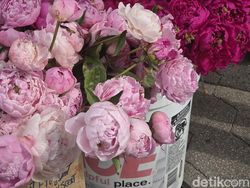 Eksplorasi New York Bareng Galaxy Z Fold7, Ini Hasil Kameranya!