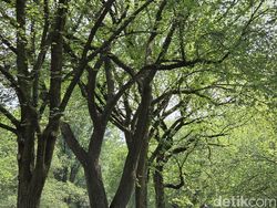 Eksplorasi New York Bareng Galaxy Z Fold7, Ini Hasil Kameranya!