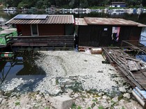 Ikan-ikan Mati di Sungai Sava Picu Kekhawatiran akan Krisis Lingkungan