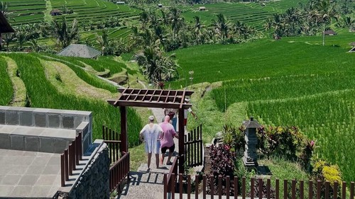 Jatiluwih Festival digelar selama dua hari mulai 19-20 Juli 2025 mendatang.  (Instagram @jatiluwihdestination)