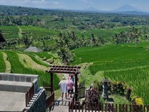 Grow With Nature, Festival Jatiluwih 2025 Digelar 19-20 Juli