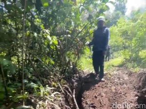 Viral Hutan Gunung Cikuray Rusak Diduga gegara Offroad