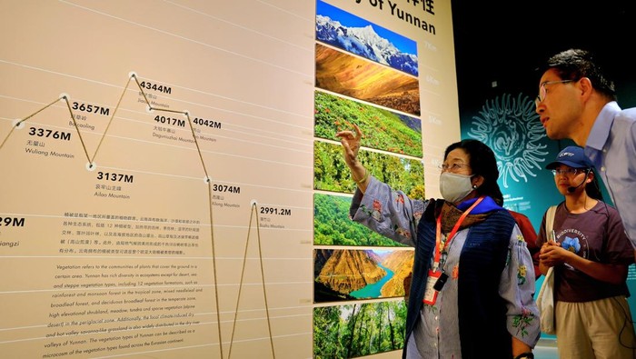 Ketum PDIP Megawati Soekarnoputri meninjau Kunming Botanical Garden, Sabtu (12/7/2025). Megawati menerima paparan dari Wakil Direktur Institut Botani Kunming, Niu Yang.