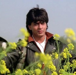 Alasan Shah Rukh Khan Tak Tertarik Main Film Hollywood