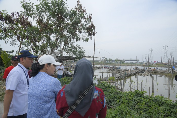 Walkot Semarang Mulai Siapkan Ekowisata Mangrove di Tambakrejo