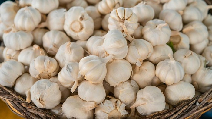 Bawang putih