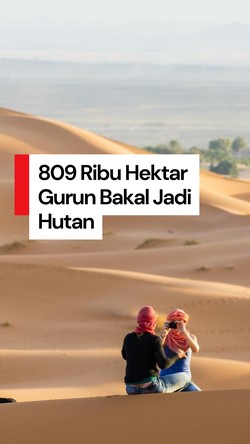 Video: Tanam Pohon di Gurun Sahara Demi Cuan, Memang Bisa?