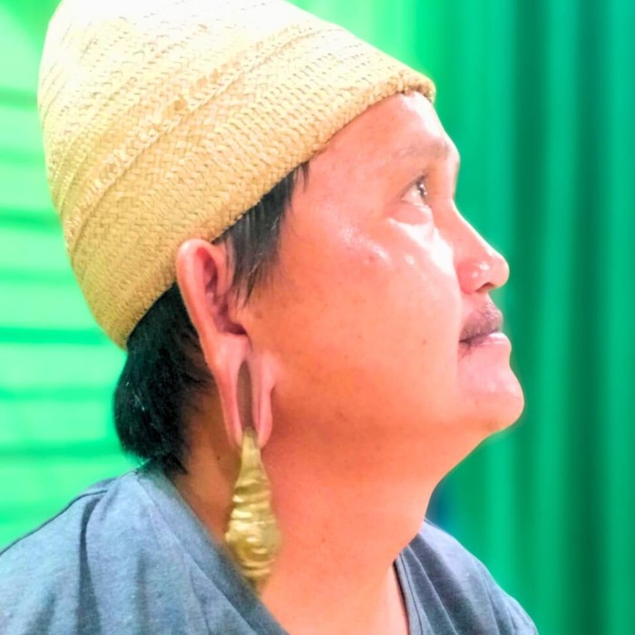 Tradisi memanjangkan daun telinga yang menjadi ciri khas masyarakat Dayak Kenyah di masa lalu, kini mulai ditinggalkan, terutama oleh generasi muda. Namun, ada beberapa individu yang berupaya melestarikan warisan budaya ini, salah satunya adalah Handrius (36), seorang warga Desa Setulang.