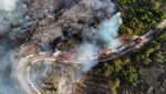 Kebakaran Hanguskan Ribuan Hektar Lahan di Latakia Suriah