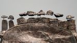 Kerangka Dinosaurus Super Langka Siap Dilelang di New York, Ini Wujudnya