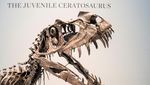 Kerangka Dinosaurus Super Langka Siap Dilelang di New York, Ini Wujudnya