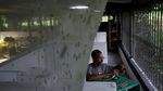 Lalat Jadi Sumber Harapan di Tengah Krisis Kuba