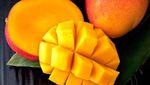 Gokil! 10 Mangga Termahal di Dunia Harganya Ada yang Rp 5,6 Juta/Kg