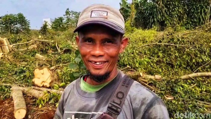 Pohon beringin raksasa di TPU Pasir Kuil Sukabumi.