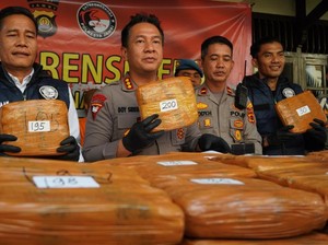 Bawa 200 Kilogram Ganja, Dua Pria Asal Sumbar Ditangkap Polisi Jambi