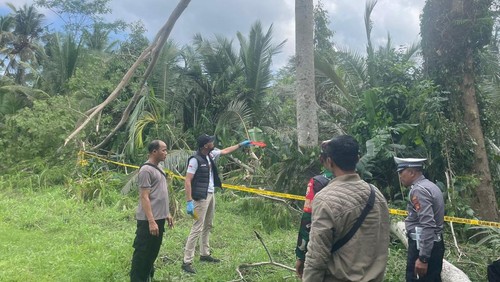 Polisi melakukan olah TKP lokasi seorang kakek jatuh dari pohon 20 meter di Bangli, Bali, Minggu (13/7/2025).