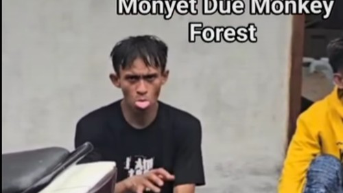 Pria berkelakuan aneh setelah menyakiti monyet Monkey Forest, Ubud, Gianyar. (Tangkapan layar video viral)