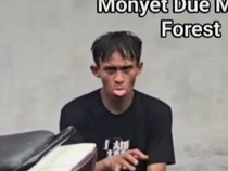 Viral Pria Berkelakuan Aneh Seusai Lakukan Kekerasan ke Monyet Monkey Forest