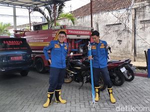 Cerita Petugas Damkar Viral Usir Ular Gaib Pengganggu Emak-emak