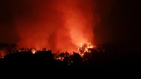 Asap mengepul di kejauhan saat kebakaran Dragon Bravo melanda area hutan Grand Canyon, memicu peringatan kebakaran hutan. REUTERS/David Swanson