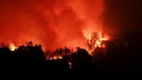 Otoritas taman nasional meningkatkan pengawasan setelah kebakaran hutan Dragon Bravo terus meluas sejak awal Juli. REUTERS/David Swanson