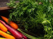 Studi: 2 Jenis Makanan Ini Ternyata Bisa Bikin Hidup Lebih Bahagia, Sudah Coba?