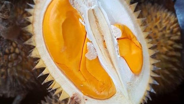 Buah Lai. Foto: SIOPEN Kabupaten Balangan