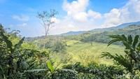 Bukanya destinasi ini telah dinanti para pengunjung, mengingat Curug Panganten memiliki panorama alam yang indah. Terletak di bawah Gunung Sawal, memiliki air yang sejuk dan menyegarkan.