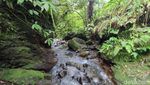 Keindahan Curug Panganten Ciamis yang Dibuka Lagi