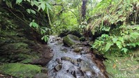 Sekarang Curug Panganten hadir dengan wajah baru dan pengelolaan yang lebih baik. Pengelola yang baru kini mewajibkan pengunjung yang akan berenang untuk menggunakan pelampung.