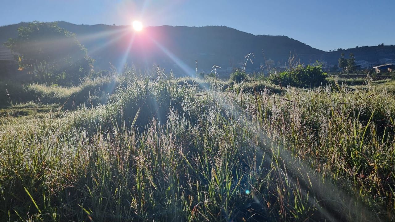 Frost atau embun beku di Dataran Tinggi Dieng, Juli 2025. Saat ini suhu disebut sudah mencapai 5 derajat Celcius. (Dok. Guswanto-Deputi bidang Meteorologi BMKG)
