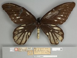 15 Fakta Random di Dunia yang Mind Blowing