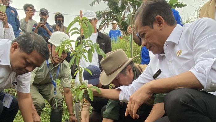 Ribuan bibit pohon menghijaukan kembali lahan Taman Safari Bogor, menandai digelarnya Program Penanaman Pohon Serentak Nasional yang diinisiasi oleh Kementerian Lingkungan Hidup dan Kehutanan