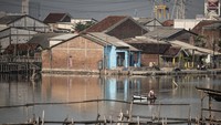Seorang nelayan memasang jaring ikan di kawasan pesisir Tambakrejo, Tanjung Mas, Semarang, Jawa Tengah, Selasa (15/7/2025). ANTARA FOTO/Aprillio Akbar