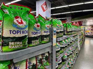 Stok Beras Sania Kosong di Retail Mataram Seusai Polri Ungkap Kasus Oplosan