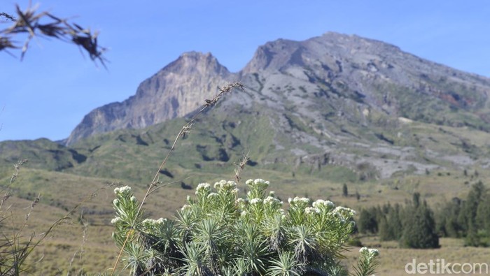 Suasana Pelawangan di jalur Timbanuh, bagian selatan Gunung Rinjani di Lombok Timur, NTB.