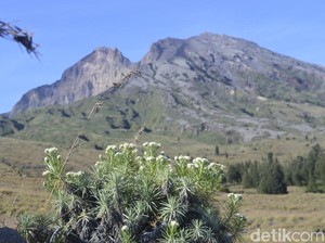 Insiden Rinjani Terjadi Lagi, Pakar UGM Sarankan Langkah Mitigasi