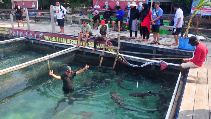 Wisatawan berpose di kolam penangkaran ikan hiu (Selachimorpha) di Pulau Menjangan Kecil, Karimunjawa, Jepara, Jawa Tengah, Selasa (15/7/2025). Penangkaran hiu terutama jenis hiu sirip hitam yang relatif jinak tersebut pengunjung dapat melihat dari dekat dan berinteraksi langsung serta berfoto bersama. ANTARA FOTO/Yusuf Nugroho/foc.